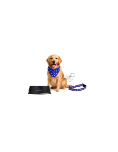 Pet Challenge Slack Channel