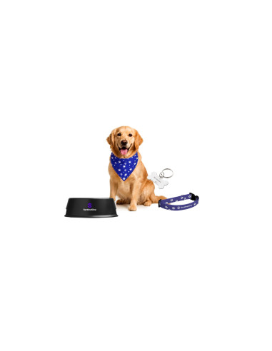 Pet Challenge Slack Channel